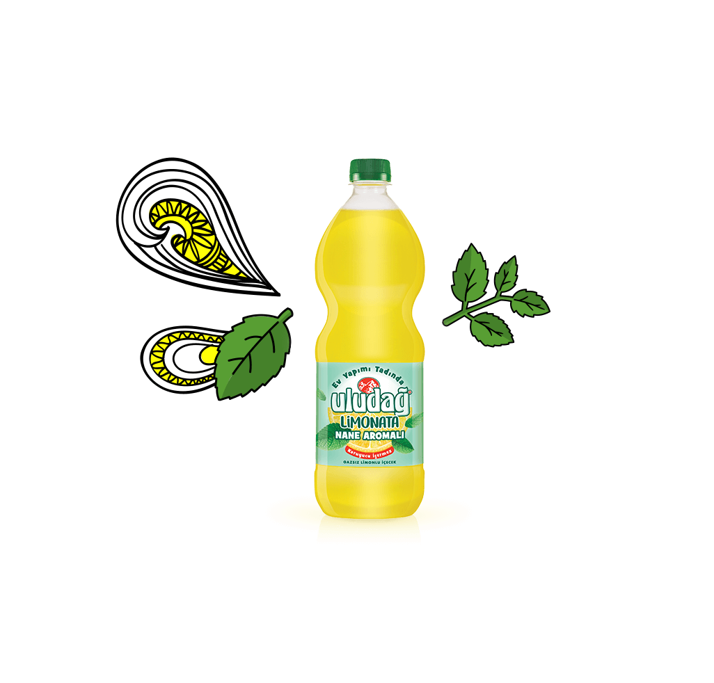 Uludağ Limonata Nane Aromalı